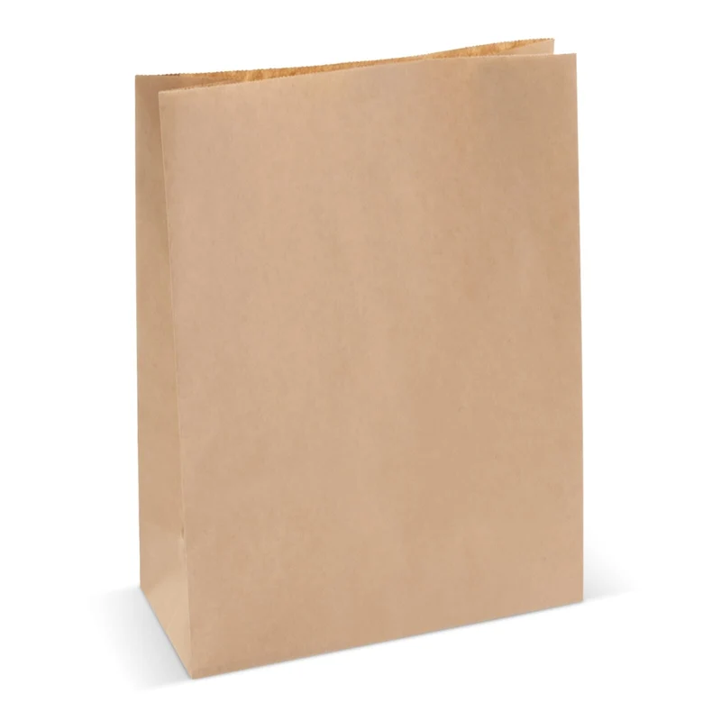 Sacchetto di carta 70g 29x22x9cm