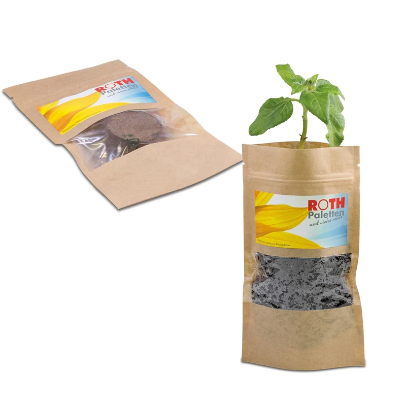 Pianta dal Sacchetto