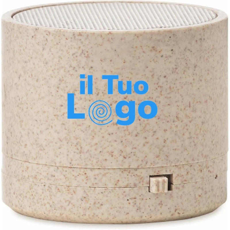 Speaker wireless in paglia