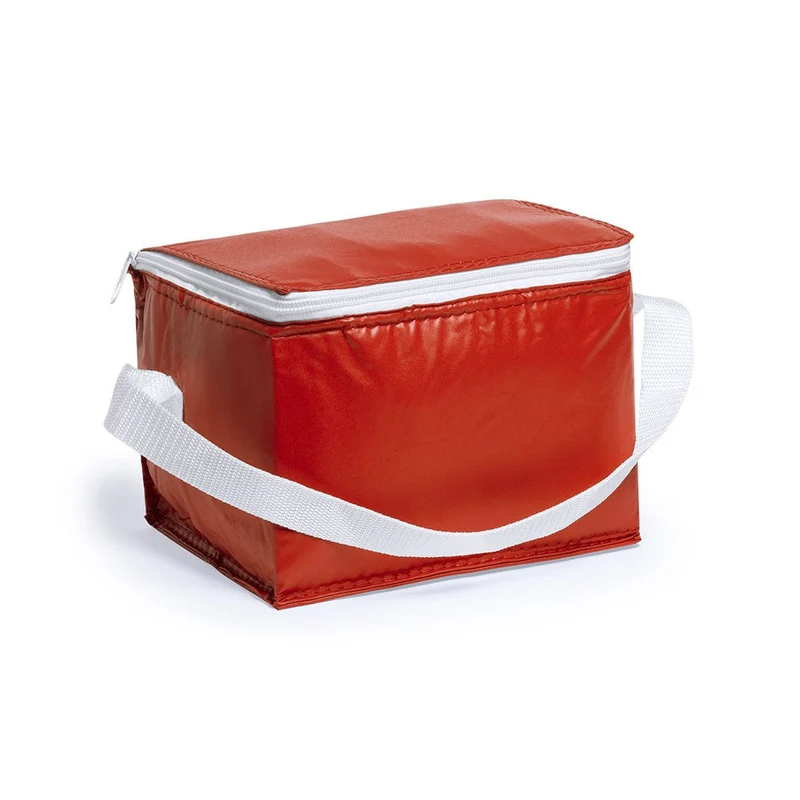 Borsa Frigo Coolcan 21 × 15 × 15 cm