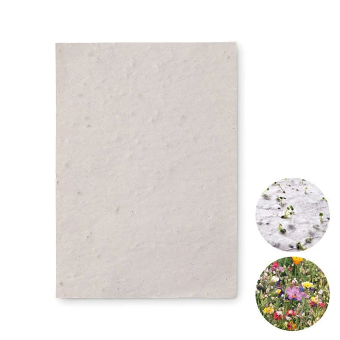 Foglio A6 in carta con semi