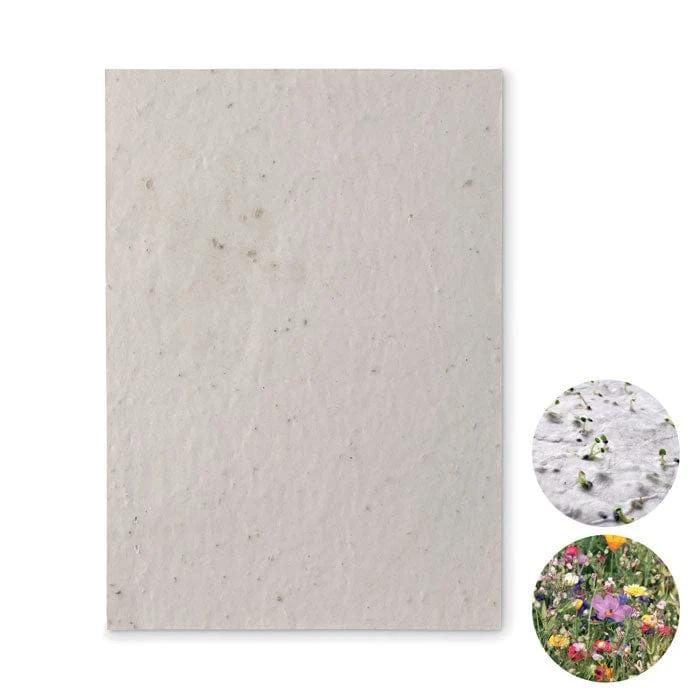 Foglio A5 in carta con semi