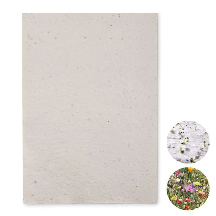 Foglio A4 in carta con semi